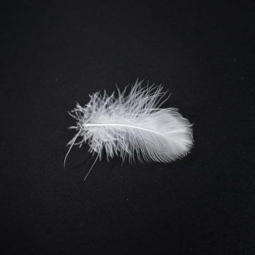 MOOX Down Feather Pillow Filling 2LB White
