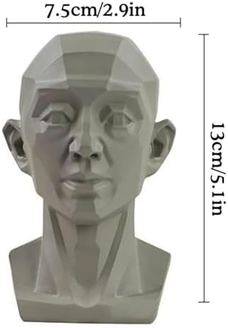Planar Head Model for Art and Medical Drawing