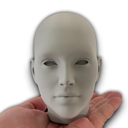 2 Pack Human Head Art Model for Drawing and Artistic Learning