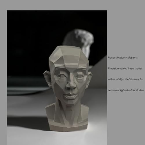 Planar Head Model for Art and Medical Drawing