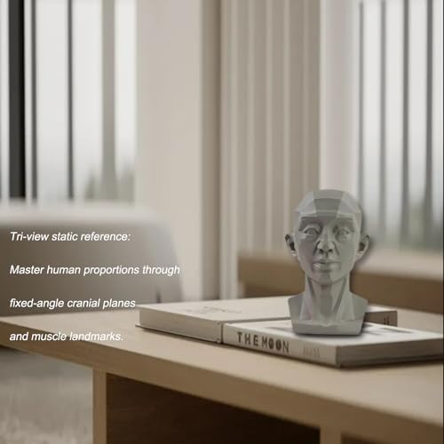 Planar Head Model for Art and Medical Drawing