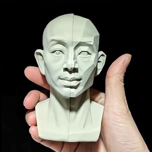 Generic Head Model for Artists 2in1 Original Planar Face Training Tool