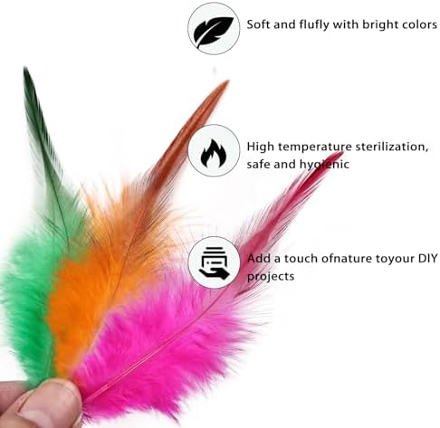 240pcs Colorful Rooster Feathers for Crafting