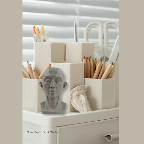 Planar Head Model for Art and Medical Drawing