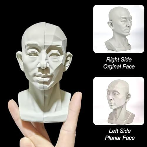 Generic Head Model for Artists 2in1 Original Planar Face Training Tool