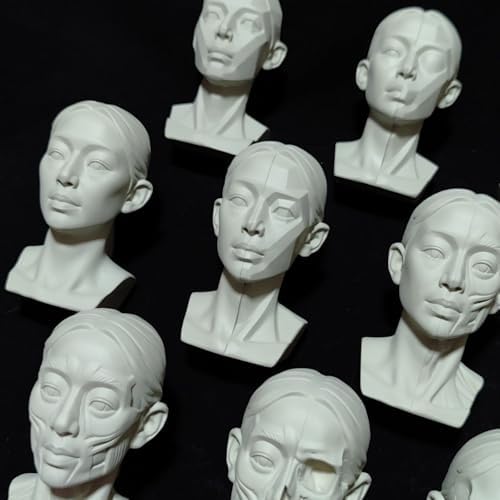 Female Planar Head Model for Drawing Art