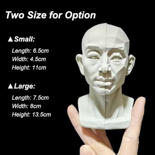Generic Head Model for Artists 2in1 Original Planar Face Training Tool