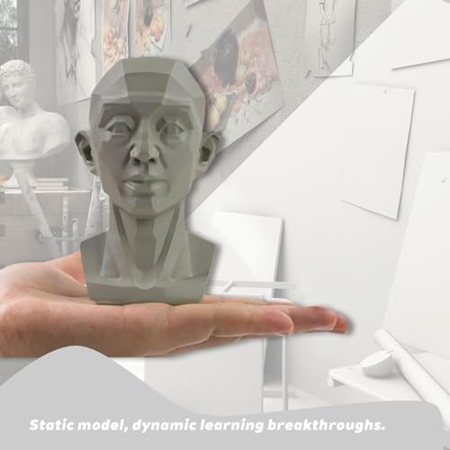 Planar Head Model for Art and Medical Drawing