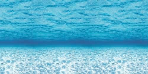 Fadeless Bulletin Board Paper 48 x 12 Under the Sea 1 Roll
