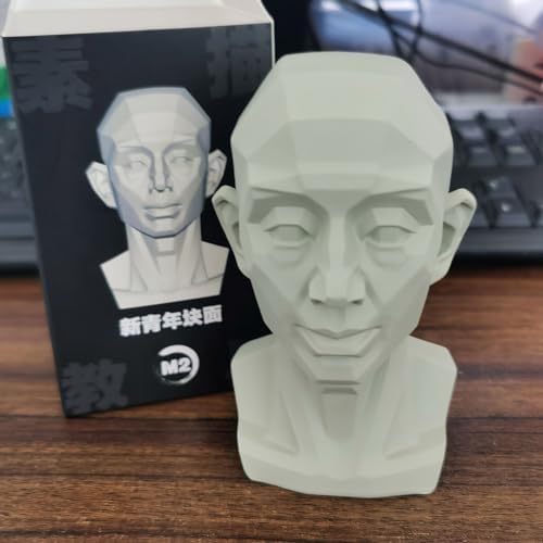 Generic Planar Head Model for Artists and Medical Use