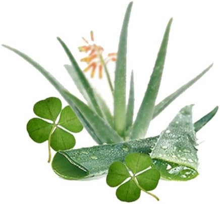Quiet Time Candles Green Clover Aloe 1 oz Fragrance Oil