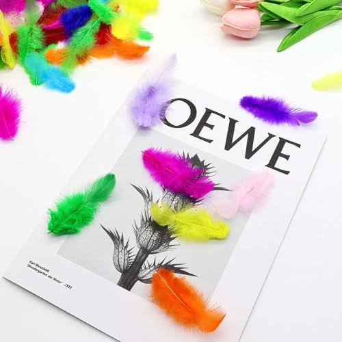 800Pcs Colorful Craft Rooster Feathers 3-5 Inch