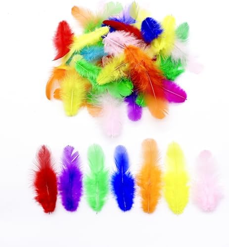 800Pcs Colorful Craft Rooster Feathers 3-5 Inch