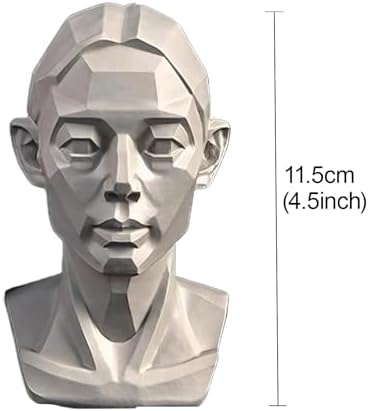 Female Planar Head Model for Drawing Art