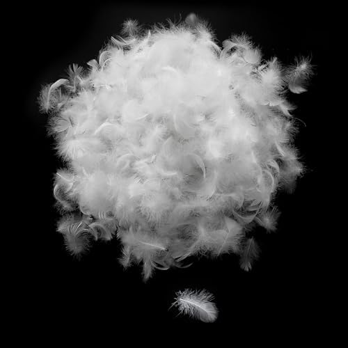 MOOX Down Feather Pillow Filling 2LB White