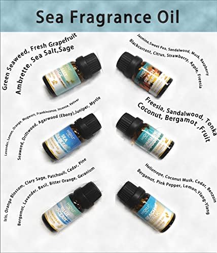HIQILI Fragrance Oil Set Gold Coast 6x10ml