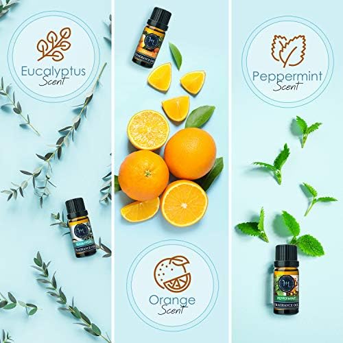 Hearth Harbor Premium Fragrance Oil Set of 6