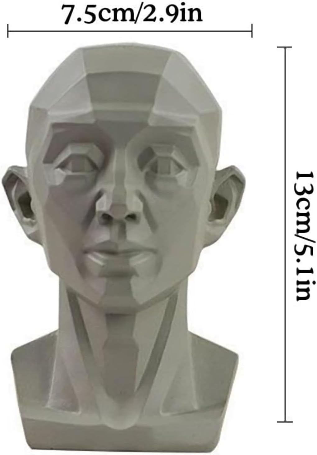 Planar Head Model for Art and Medical Drawing