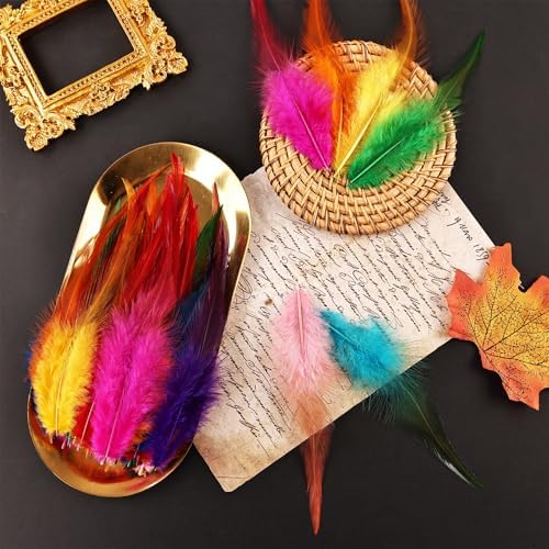 240pcs Colorful Rooster Feathers for Crafting