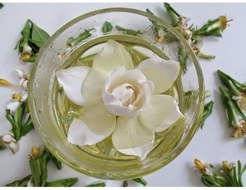 Green Tea Magnolia Fragrance Oil 16 oz