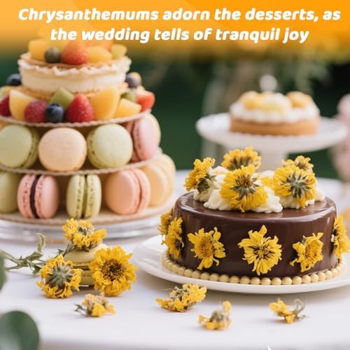 Sukh Dried Fetus Chrysanthemum Natural Dried Flowers for Candle Soap Bomb Making