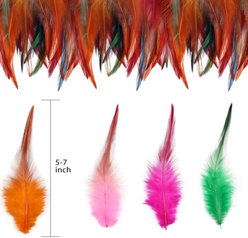 240pcs Colorful Rooster Feathers for Crafting