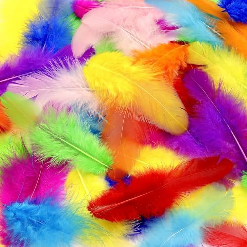 800Pcs Colorful Craft Rooster Feathers 3-5 Inch
