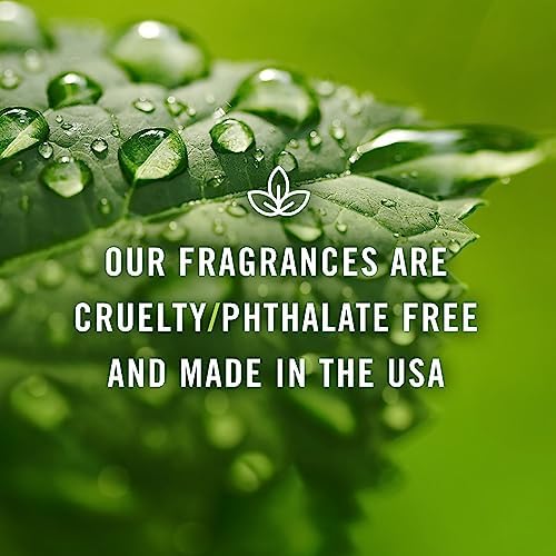 PJ Trading Study Set Fragrance Oils