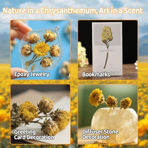 Sukh Dried Fetus Chrysanthemum Natural Dried Flowers for Candle Soap Bomb Making