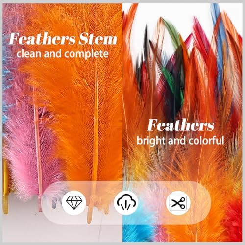 240pcs Colorful Rooster Feathers for Crafting