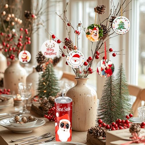Joyclub 12PCS 3 Sublimation Ornament Blanks