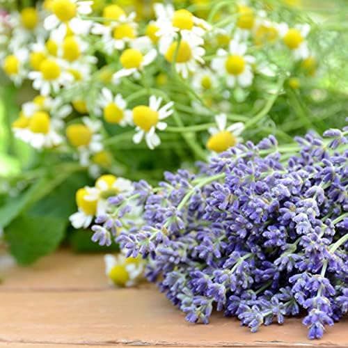 Lavender Chamomile Fragrance Oil 16 oz for Candle and Soap Making