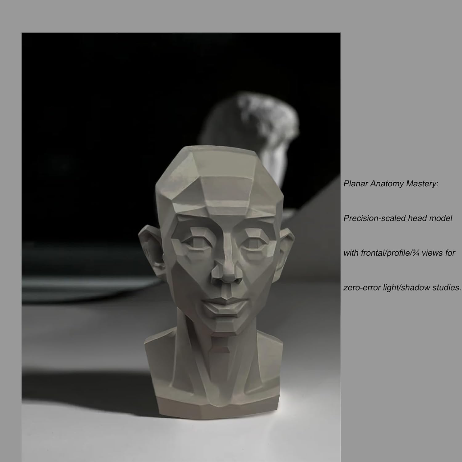 Planar Head Model for Art and Medical Drawing