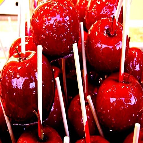 Winter Candied Apple Fragrance Oil 16 oz Bottle