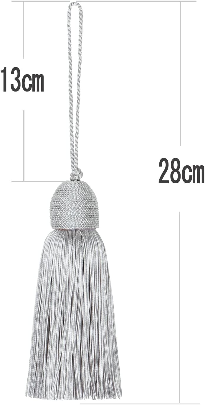 Fenghuangwu 2pcs Tassel Charms Silver Key Tassels with Loop