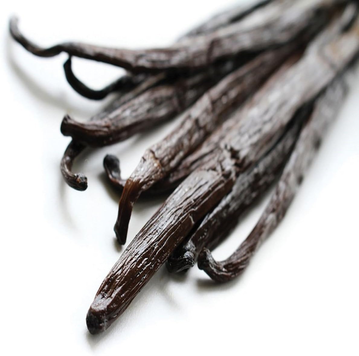Vanilla Bean Fragrance Oil 16 oz for Candles Soap Room Sprays