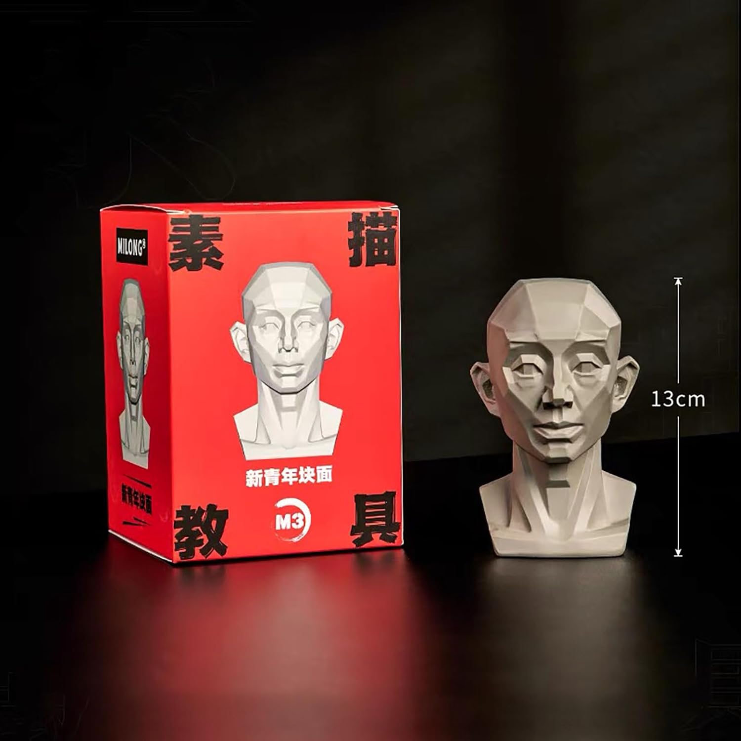 Generic Planar Head Model for Artists and Medical Use