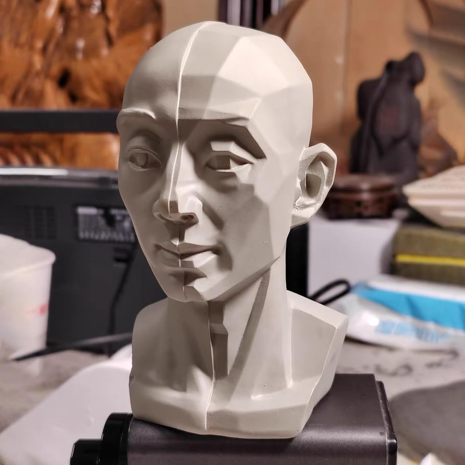 Generic Head Model for Artists 2in1 Original Planar Face Training Tool