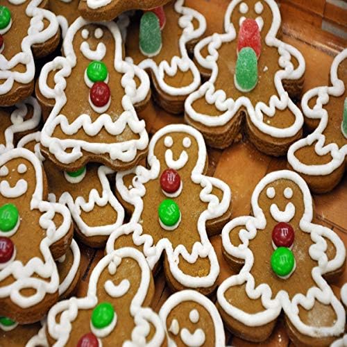 Gingerbread Fragrance Oil 16 oz for Candles Soaps Room Sprays