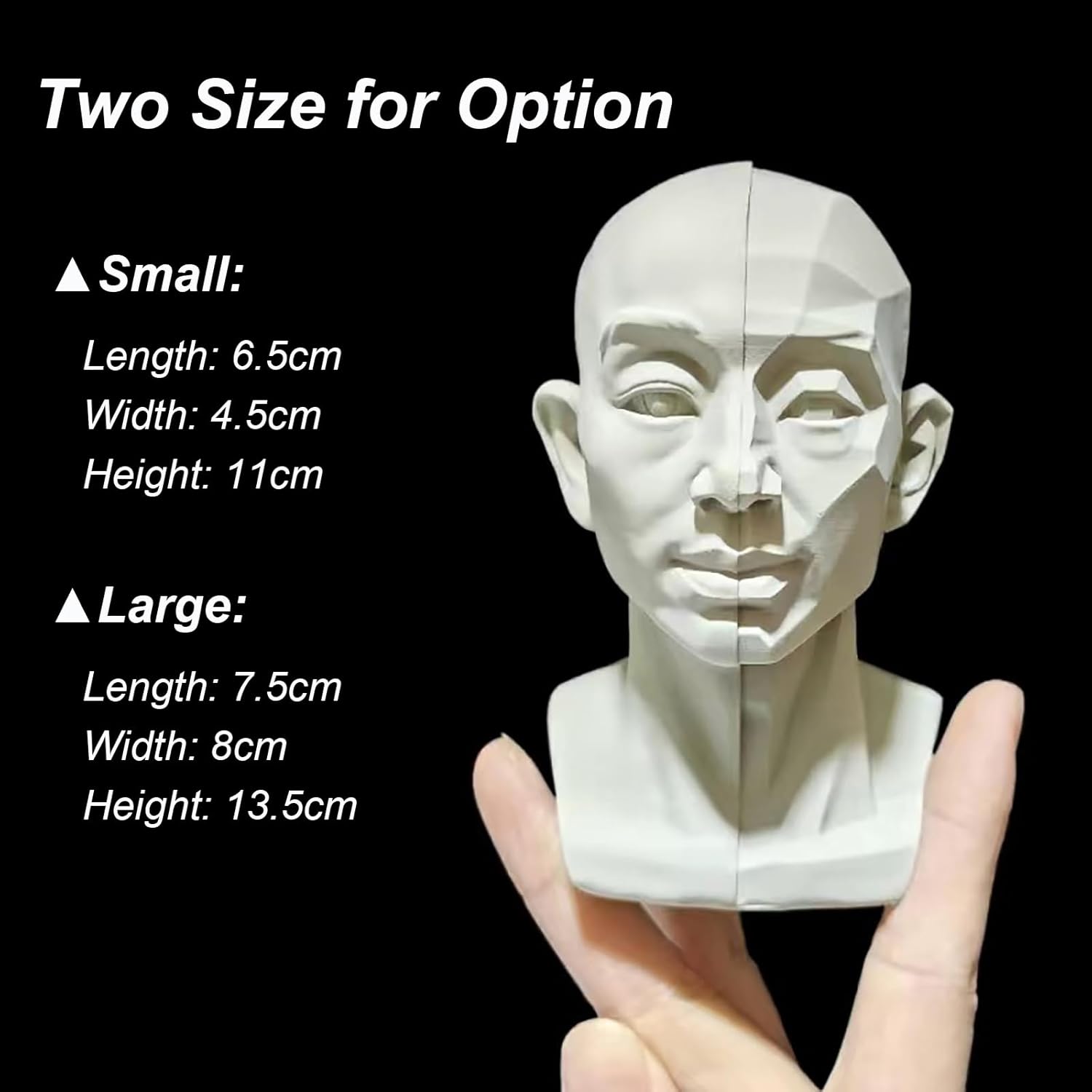 Generic Head Model for Artists 2in1 Original Planar Face Training Tool