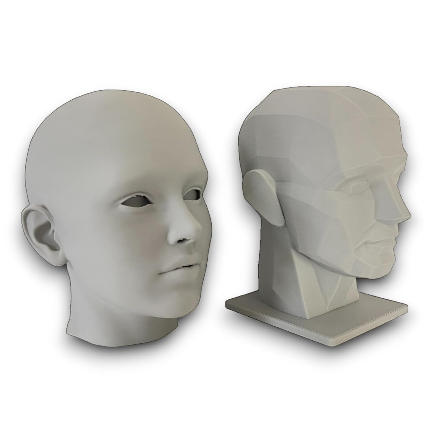 2 Pack Human Head Art Model for Drawing and Artistic Learning