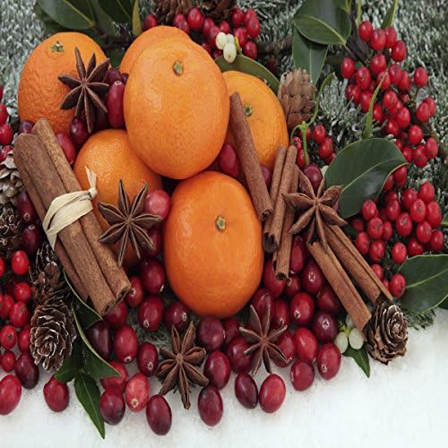 Christmas Splendor Fragrance Oil 16 oz Bottle