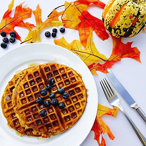 Virginia Candle Supply Blueberry Waffle Fragrance Oil 16 oz