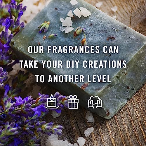 PJ Trading Study Set Fragrance Oils