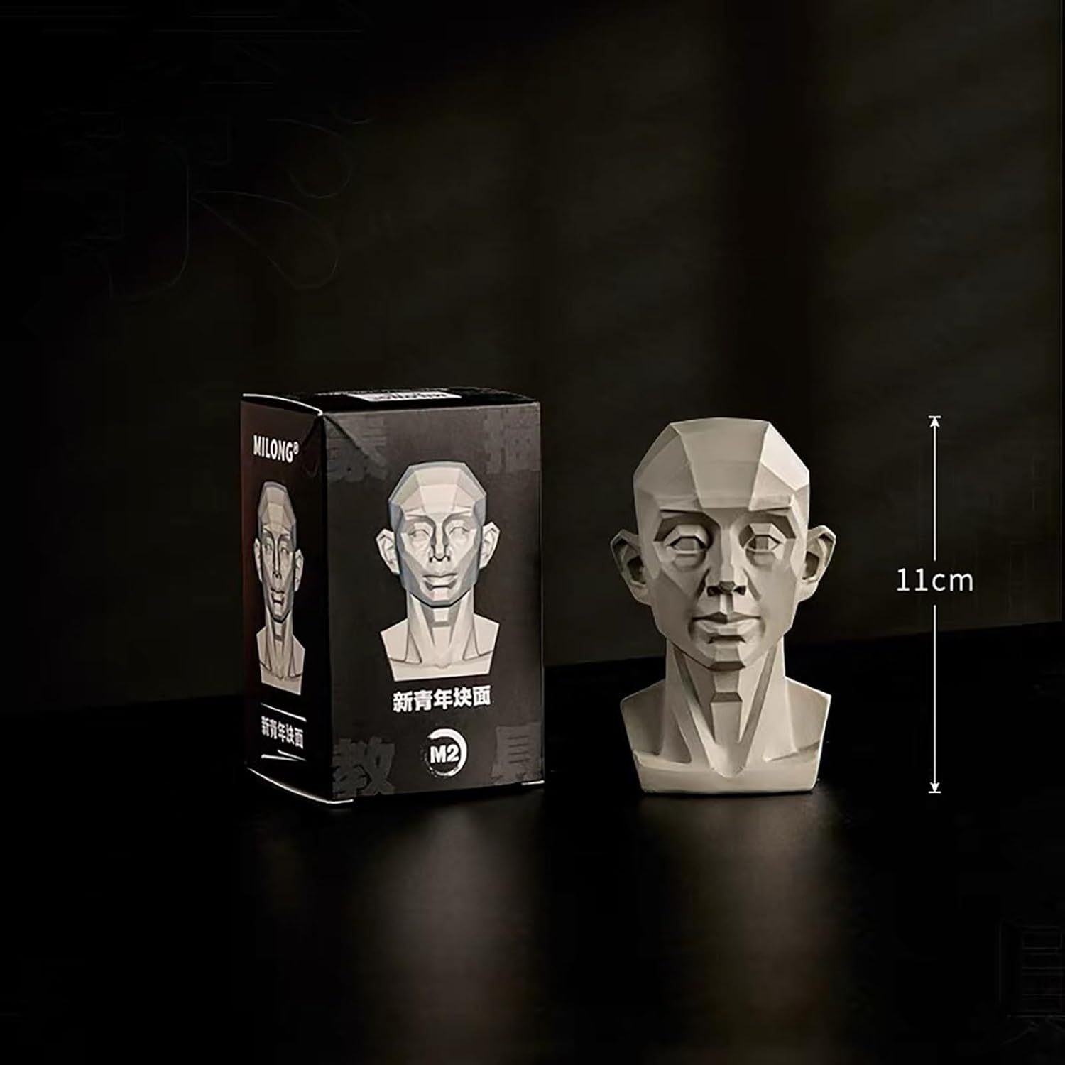 Generic Planar Head Model for Artists and Medical Use