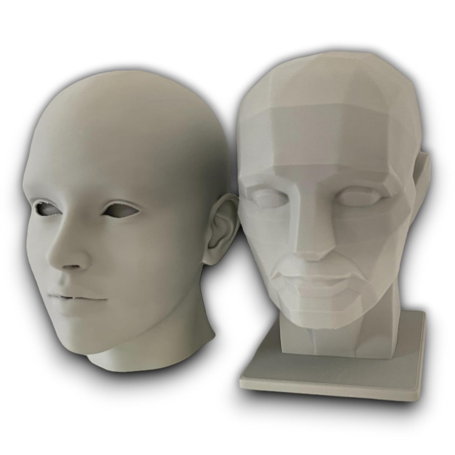2 Pack Human Head Art Model for Drawing and Artistic Learning