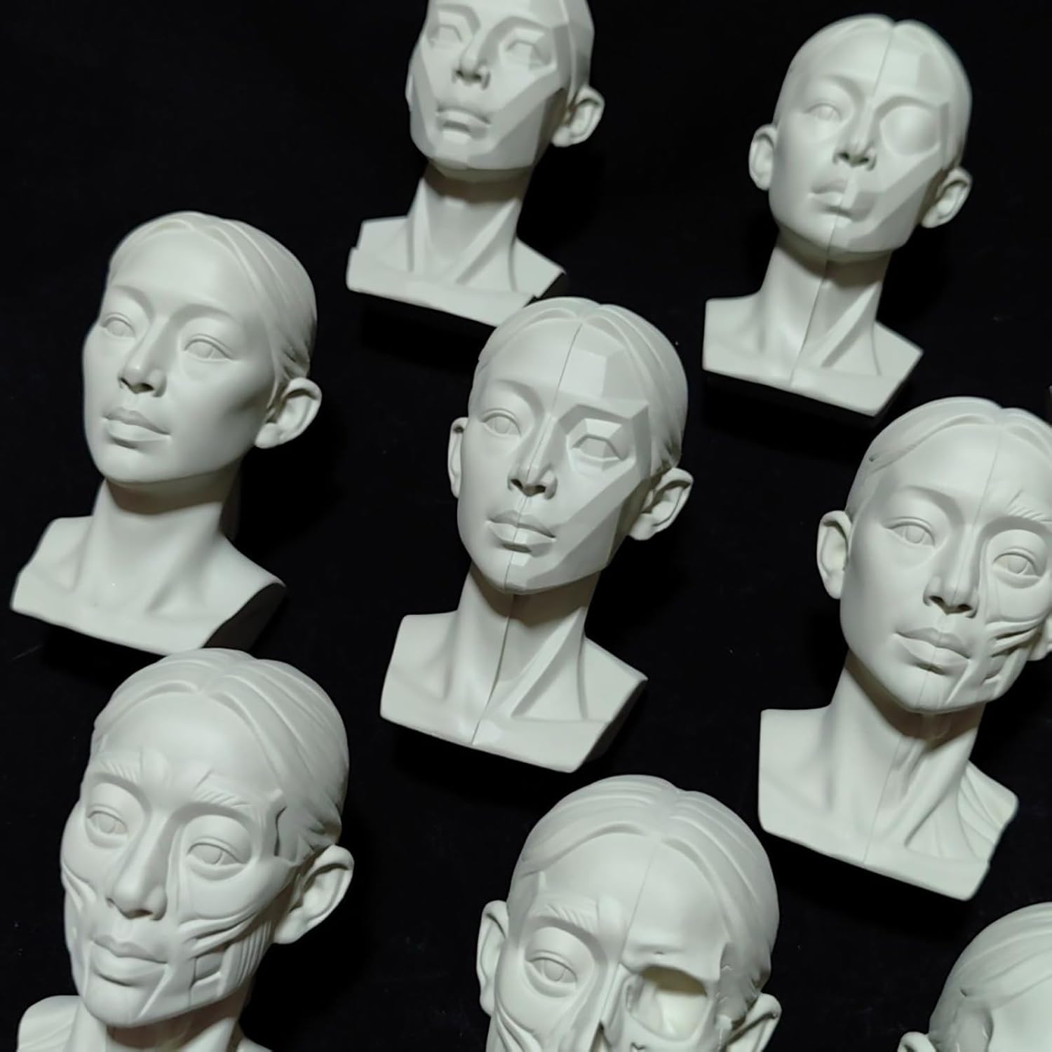Female Planar Head Model for Drawing Art