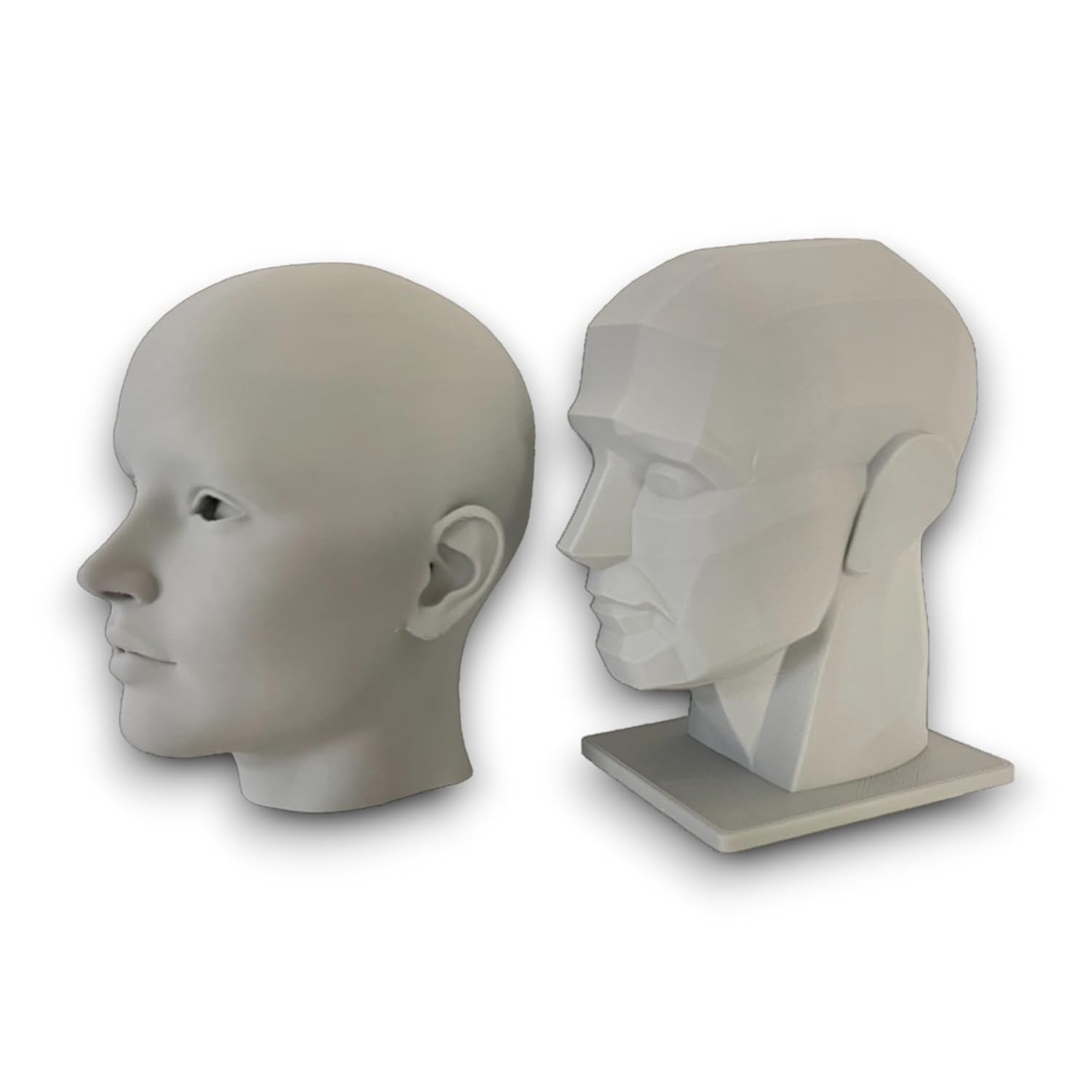 2 Pack Human Head Art Model for Drawing and Artistic Learning