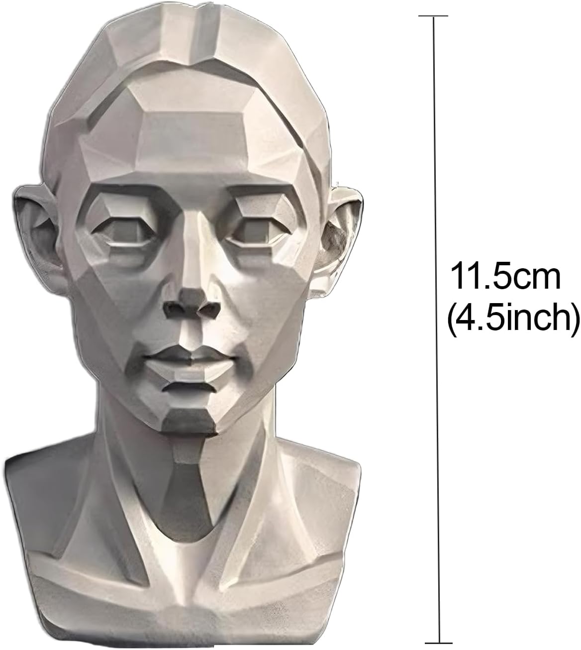 Female Planar Head Model for Drawing Art