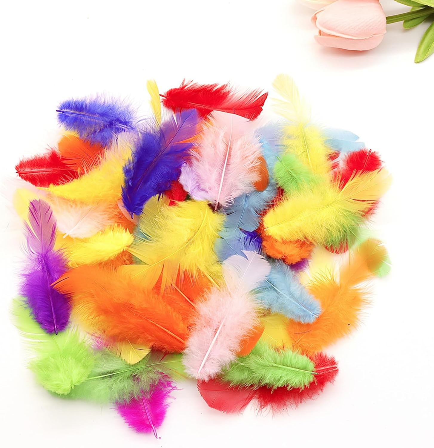 800Pcs Colorful Craft Rooster Feathers 3-5 Inch